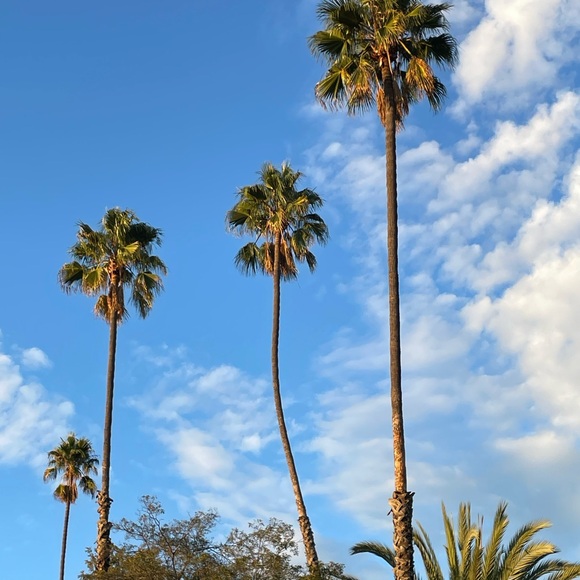 Meet your Posher, Sarah - Picture 1 of 1